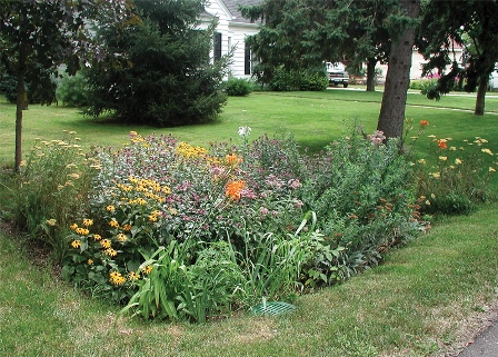 raingarden