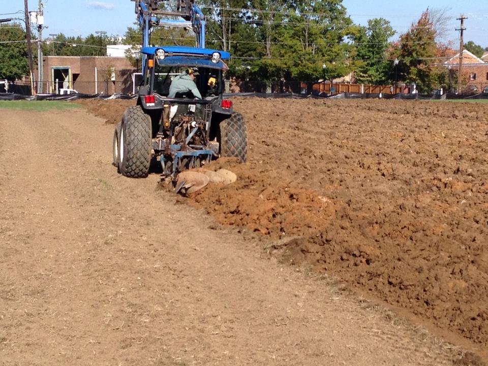 Plowing Turf Under