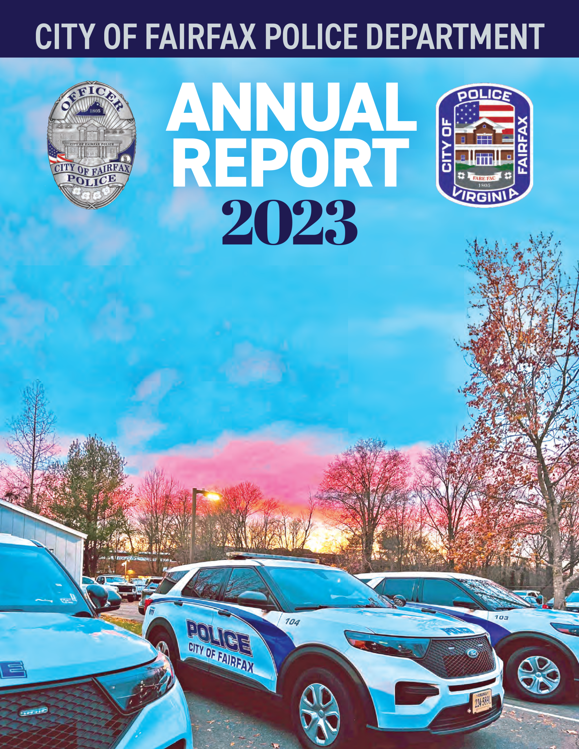 2020 Annual Report cover