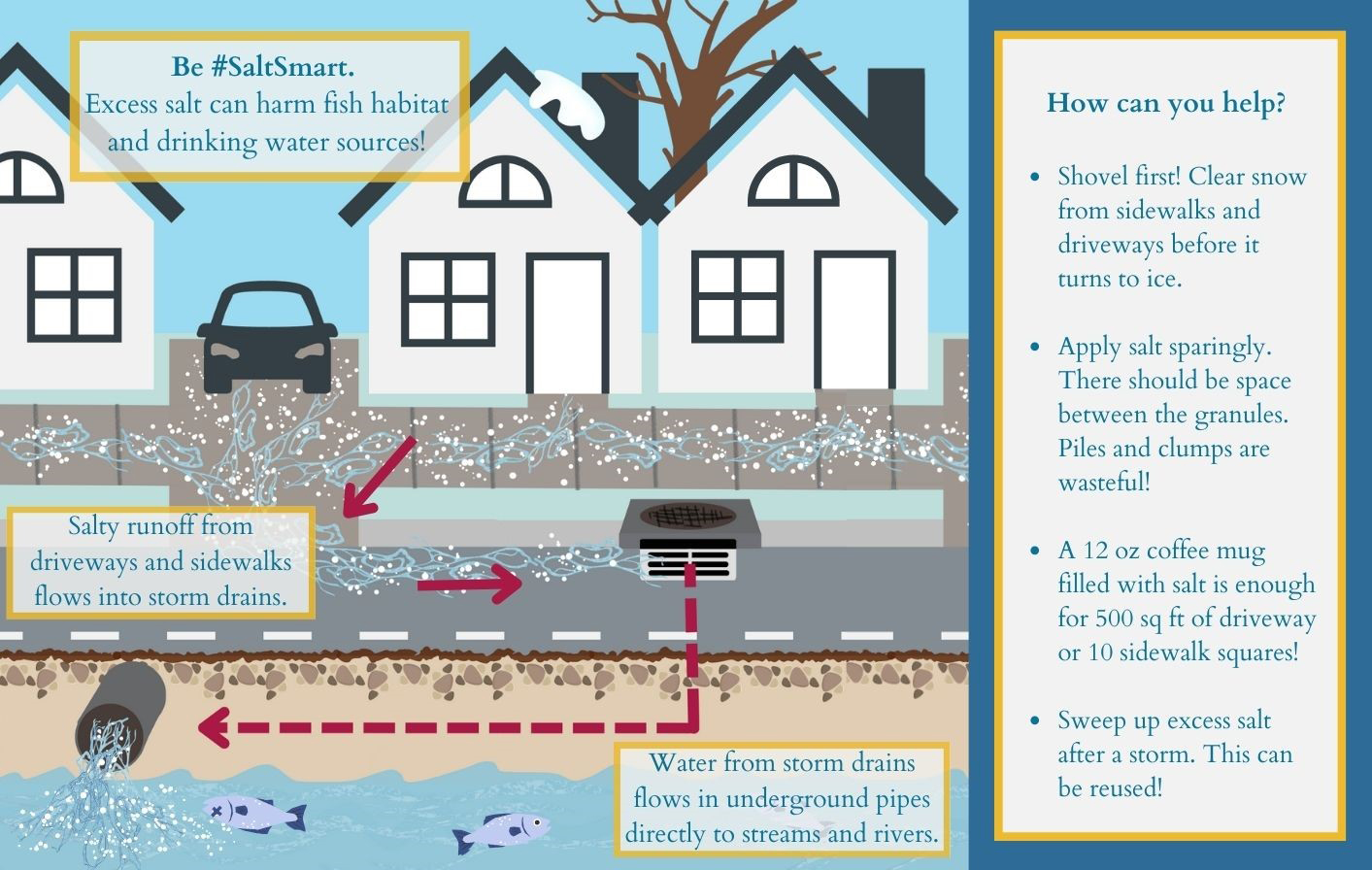 MWCOG Salt Smart Graphic from the Metropolitan Washington Council of Governments with houses, cars, and explanations on where salt is channeled after being distributed on the ground