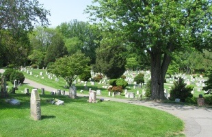 Cemetery