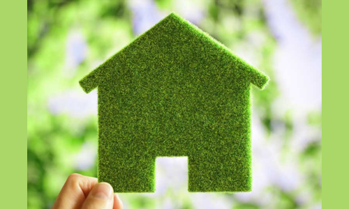 Green Building Policy