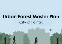 Urban Forest Master Plan City of Fairfax